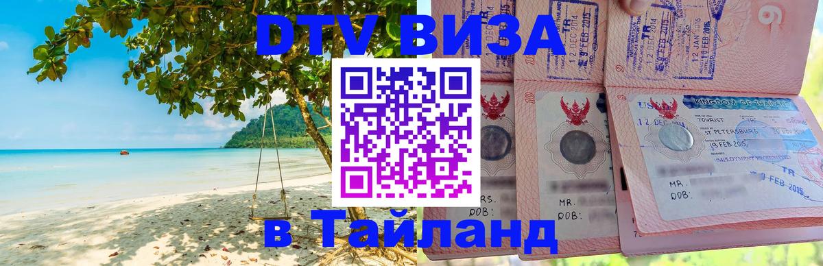 Сколько стоит DTV виза — актуальные цены, оформление даже без документов - 08.01.2026 